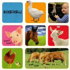 Mijn eerste flapjesboek 100 dieren