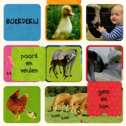Mijn eerste flapjesboek 100 dieren