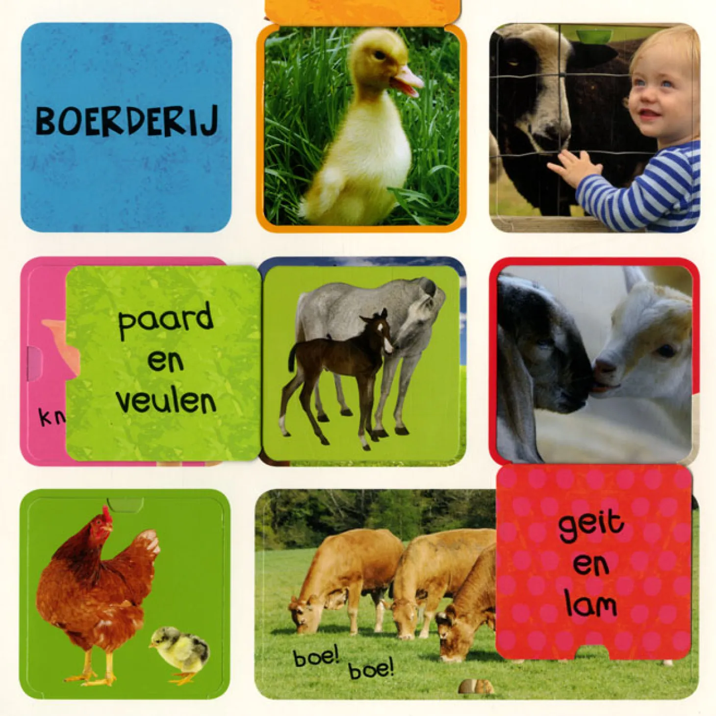 Mijn eerste flapjesboek 100 dieren