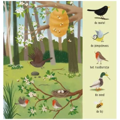 Mijn Eerste Zoekboek - Dieren In het Bos