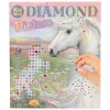Miss Melody Create Your Diamond Picture Stickerboek