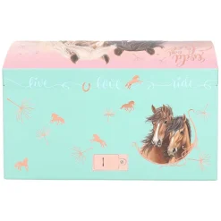 Miss Melody Grote Sieradendoos met Code en Geluid