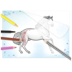 Miss Melody Overtrekboek