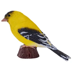 Mojo Farmland Amerikaanse Goudvink - 381111