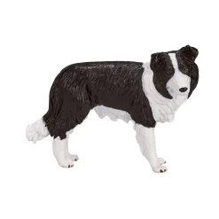 Mojo Farmland Border Collie - 387203