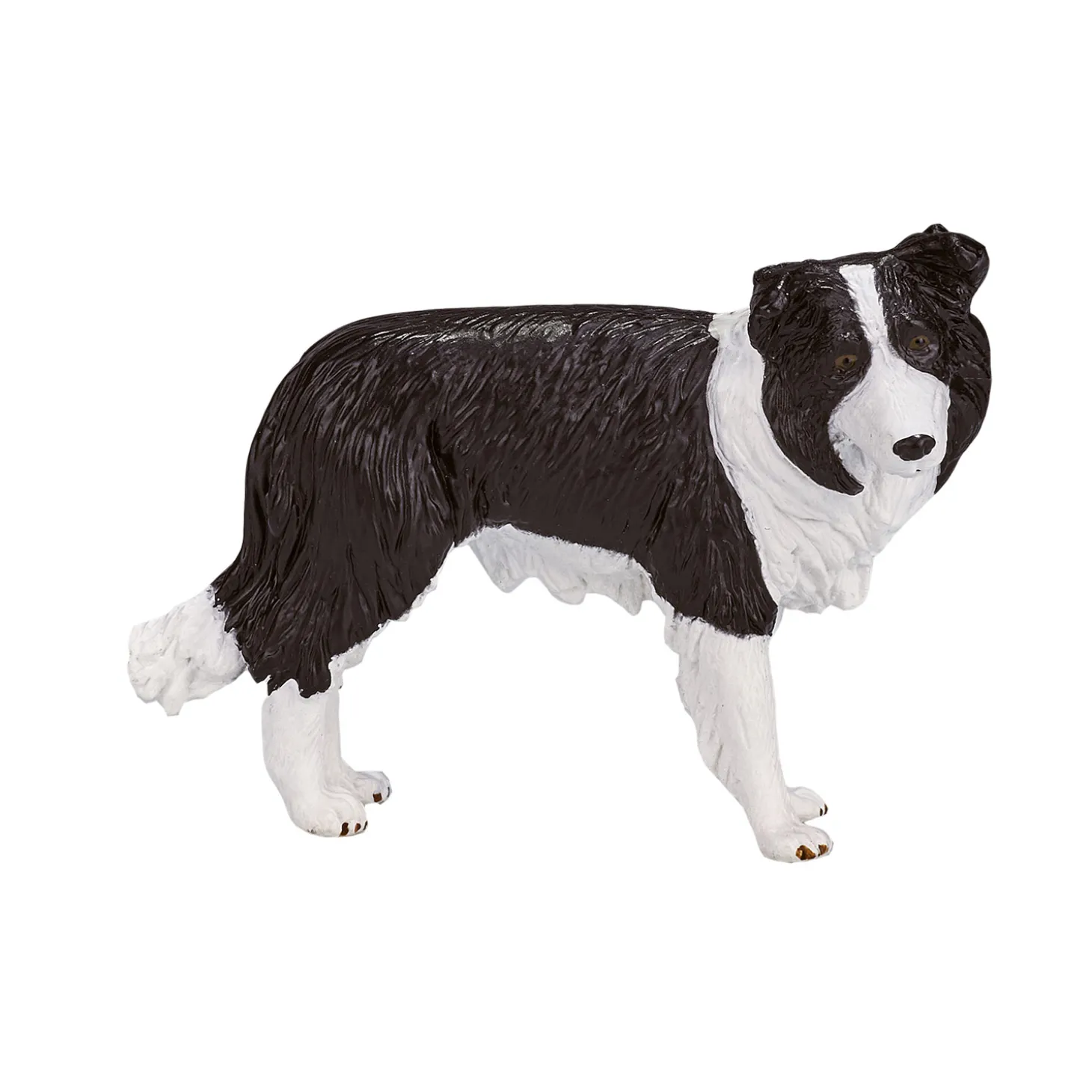 Mojo Farmland Border Collie - 387203