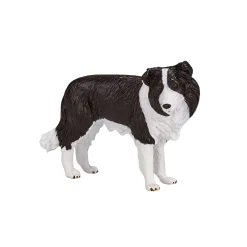 Mojo Farmland Border Collie - 387203