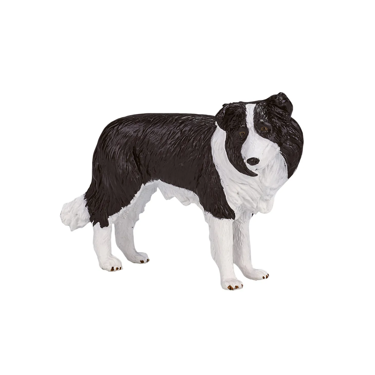 Mojo Farmland Border Collie - 387203