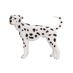 Mojo Farmland Dalmatiër - 387248