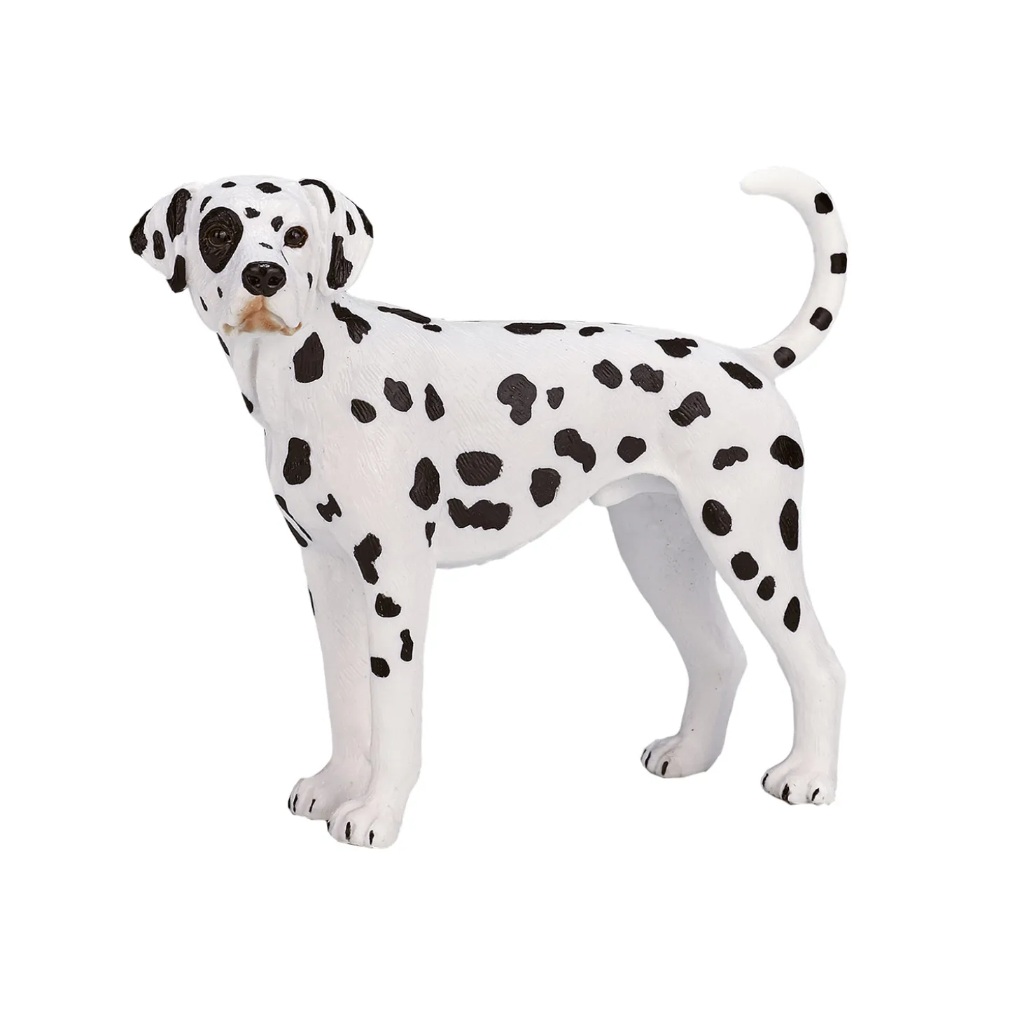 Mojo Farmland Dalmatiër - 387248