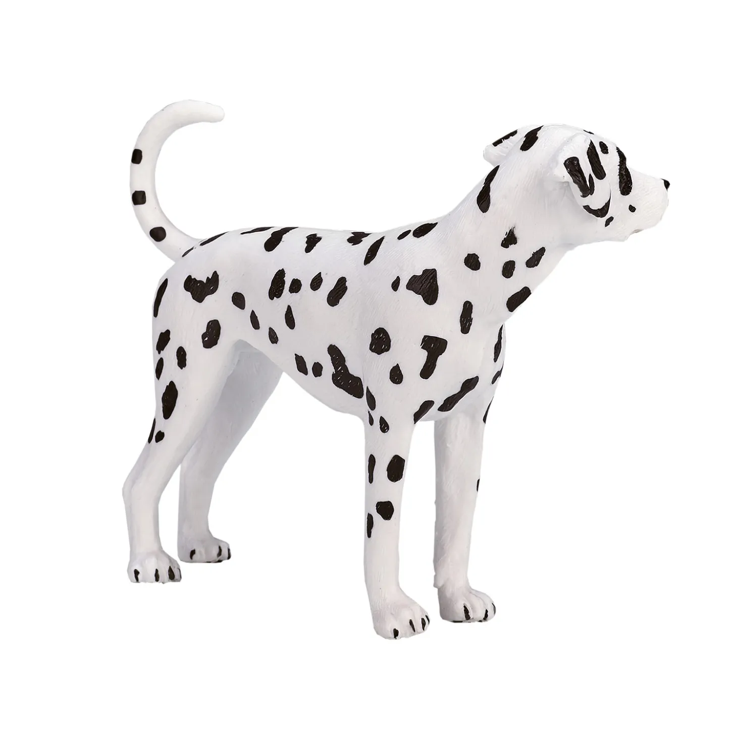 Mojo Farmland Dalmatiër - 387248