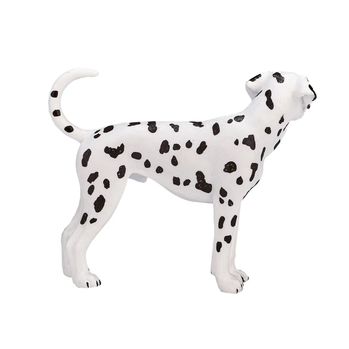 Mojo Farmland Dalmatiër - 387248