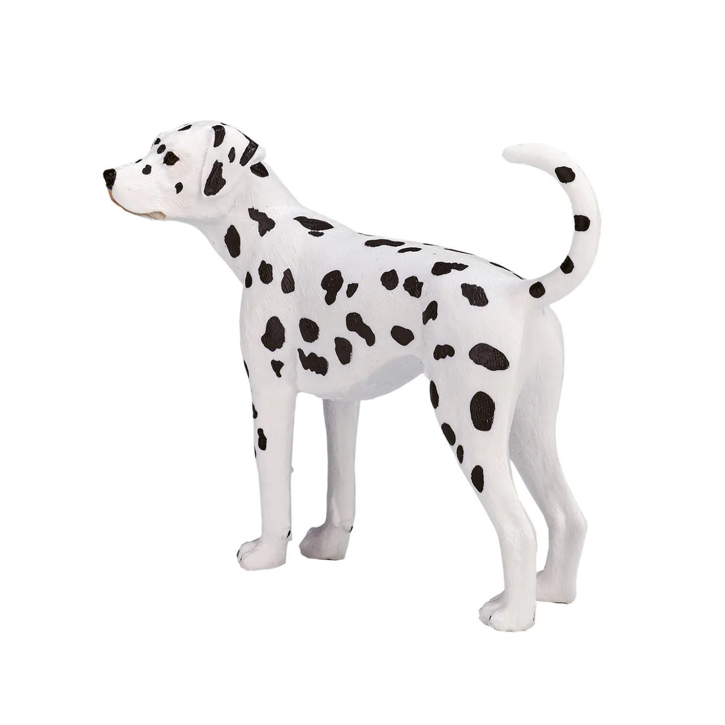 Mojo Farmland Dalmatiër - 387248