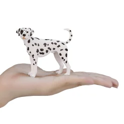 Mojo Farmland Dalmatiër - 387248