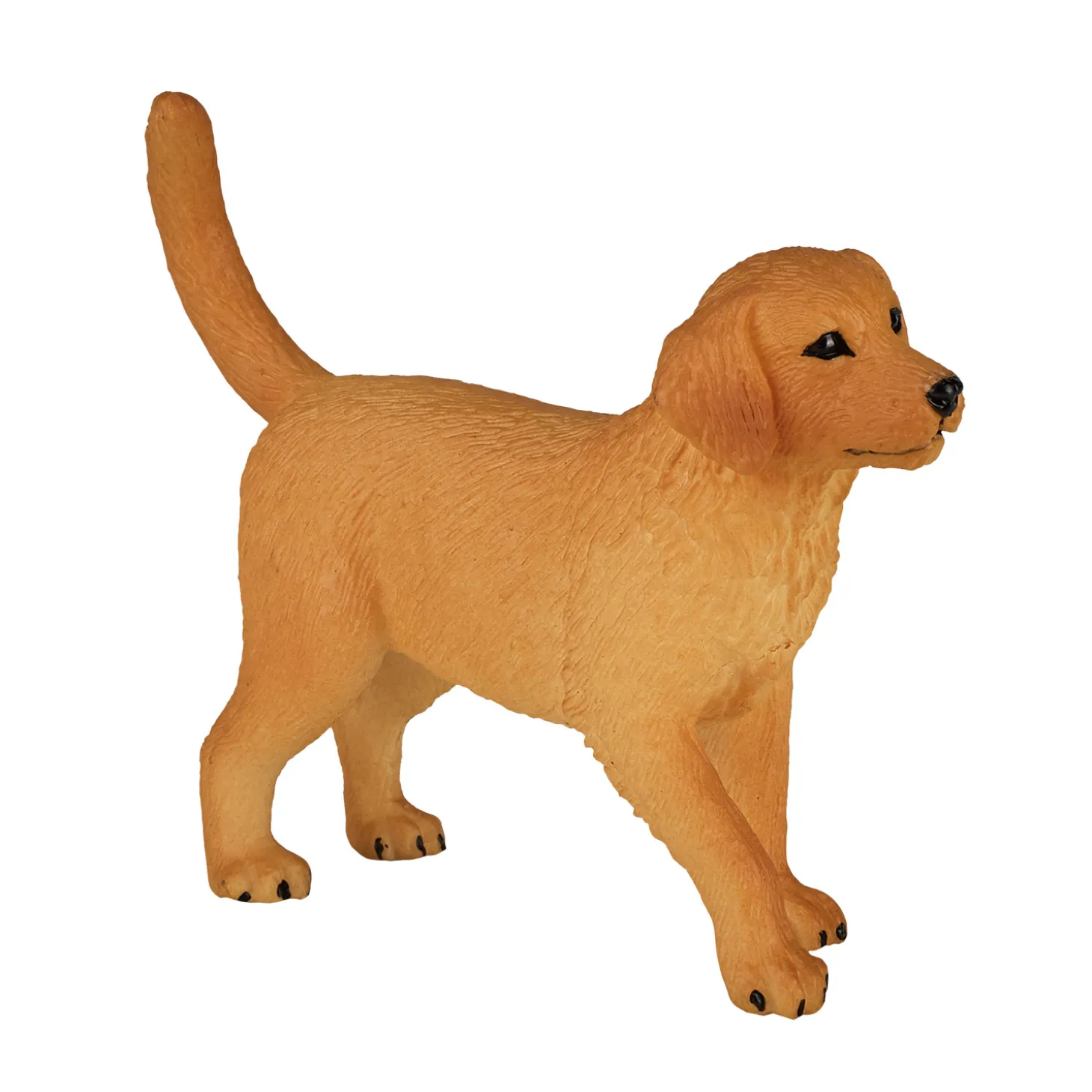 Mojo Farmland Golden Retriever Puppy - 387205