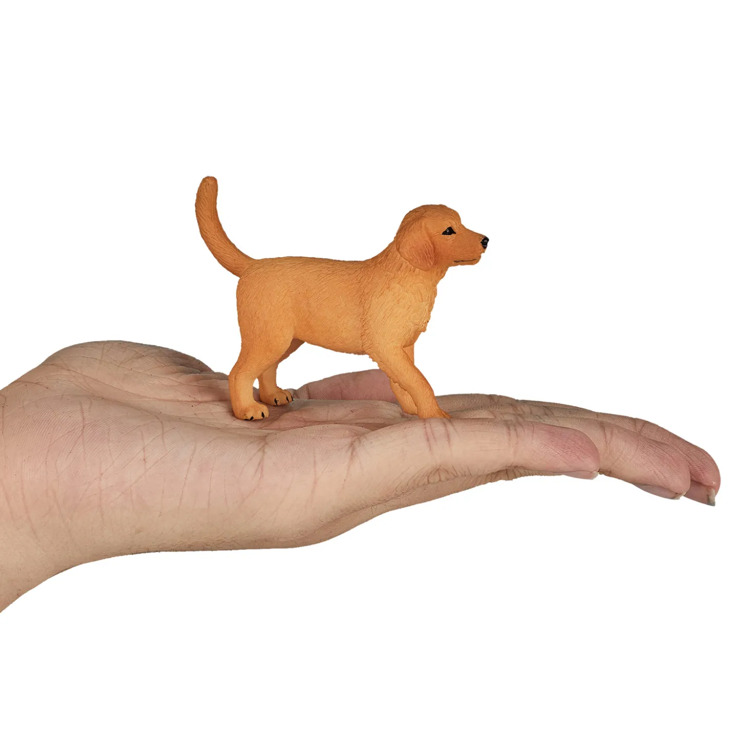 Mojo Farmland Golden Retriever Puppy - 387205