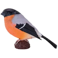 Mojo Farmland Goudvink - 381113