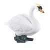 Mojo Farmland Knobbelzwaan - 387065