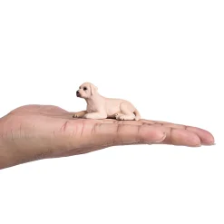 Mojo Farmland Labrador Puppy - 387272