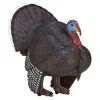 Mojo Farmland Mannelijke Kalkoen - 387285