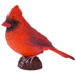 Mojo Farmland Rode Kardinaal - 381117
