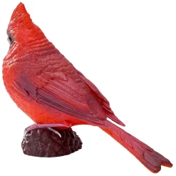 Mojo Farmland Rode Kardinaal - 381117