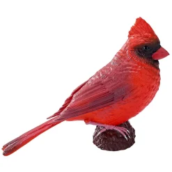Mojo Farmland Rode Kardinaal - 381117