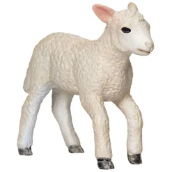 Mojo Farmland Romney Lam Rennend - 381066