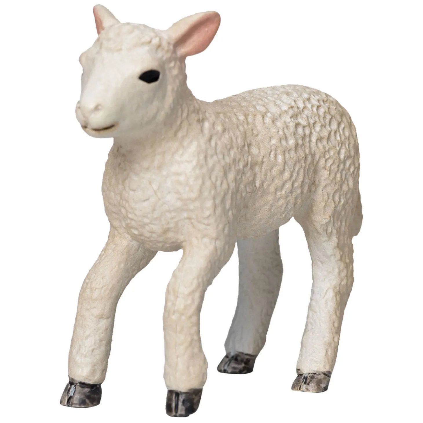 Mojo Farmland Romney Lam Rennend - 381066