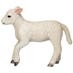 Mojo Farmland Romney Lam Rennend - 381066