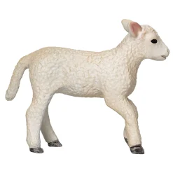 Mojo Farmland Romney Lam Rennend - 381066