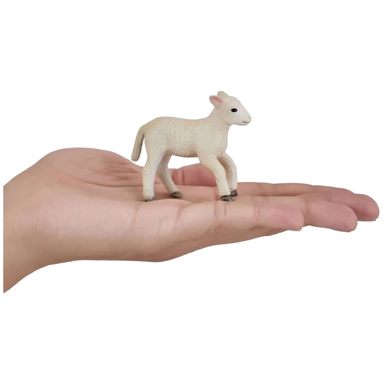 Mojo Farmland Romney Lam Rennend - 381066