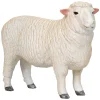 Mojo Farmland Romney Schaap Ram - 381063