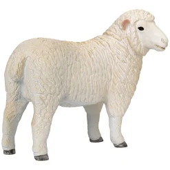 Mojo Farmland Romney Schaap Ooi - 381064