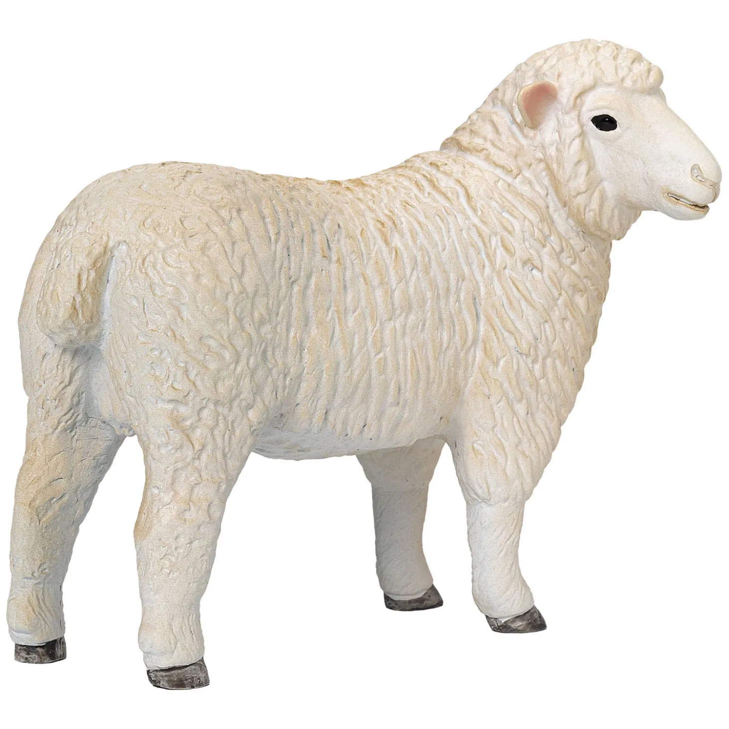 Mojo Farmland Romney Schaap Ooi - 381064