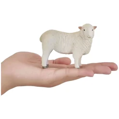 Mojo Farmland Romney Schaap Ooi - 381064