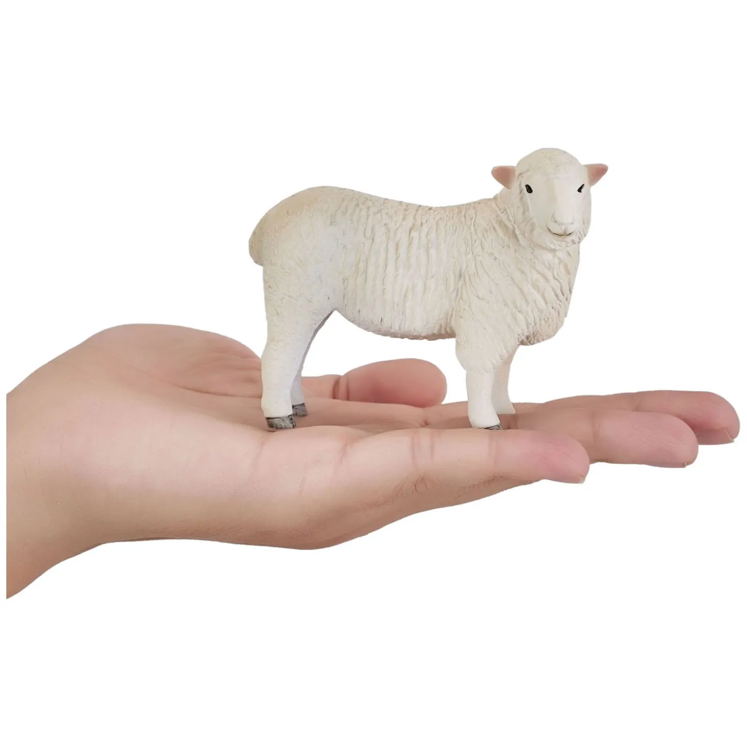 Mojo Farmland Romney Schaap Ooi - 381064