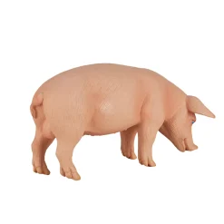 Mojo Farmland Varken Zwijn - 387080