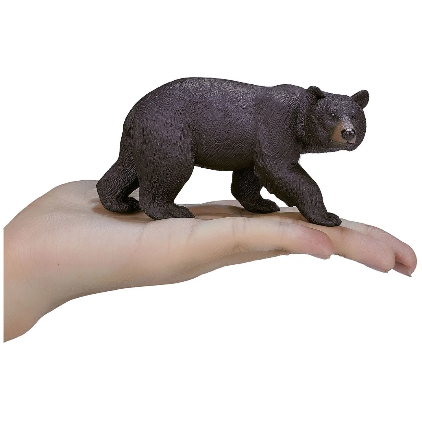 Mojo Wildlife Amerikaanse Zwarte Beer - 387112