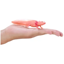 Mojo Wildlife Axolotl 381108