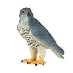 Mojo Wildlife Slechtvalk - 381056