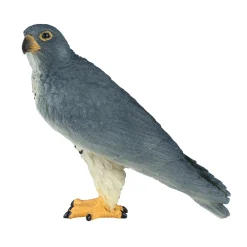 Mojo Wildlife Slechtvalk - 381056