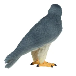 Mojo Wildlife Slechtvalk - 381056