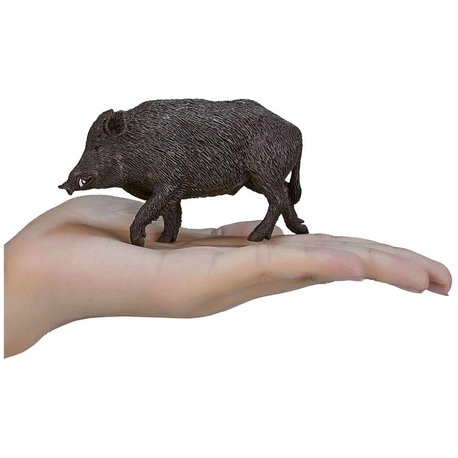 Mojo Wildlife Wild Zwijn Mannetje - 387160