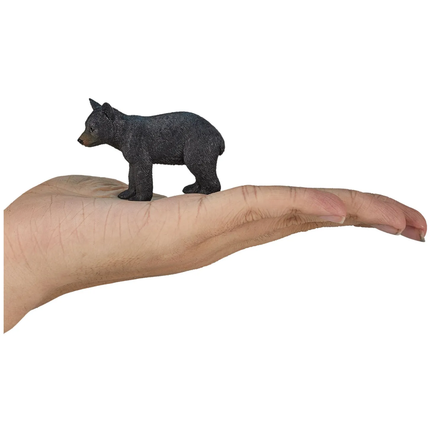 Mojo Wildlife Zwarte Beer - 387287