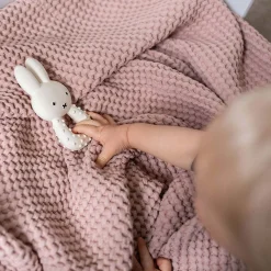 Nijntje Bijtspeeltje