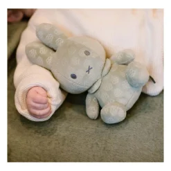 Nijntje Knuffel - Groen, 20cm