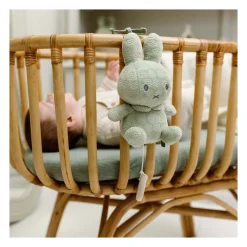 Nijntje Muziekmobiel - Groen