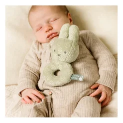 Nijntje Rammelaar - Groen