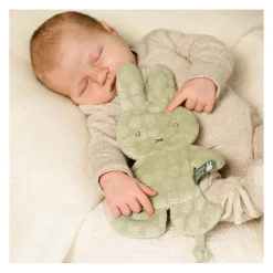 Nijntje Speendoekje - Groen